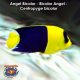 Angel Bicolor - Bicolor Angel - Centropyge bicolor