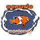 El Mejor Acuario en Monterrey, Acuario Monterrey