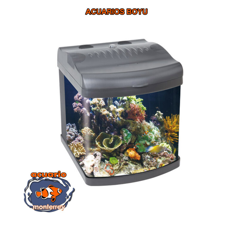 Acuario Boyu MT40 8 Galones