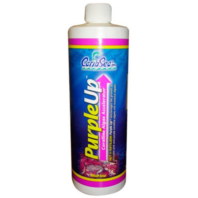 Purple up 454 ml.