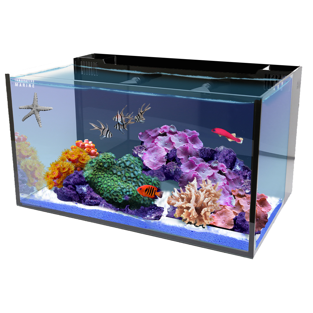 Fusion-20-AIO-Long-Aquarium-Desktop-Starter-Kit2