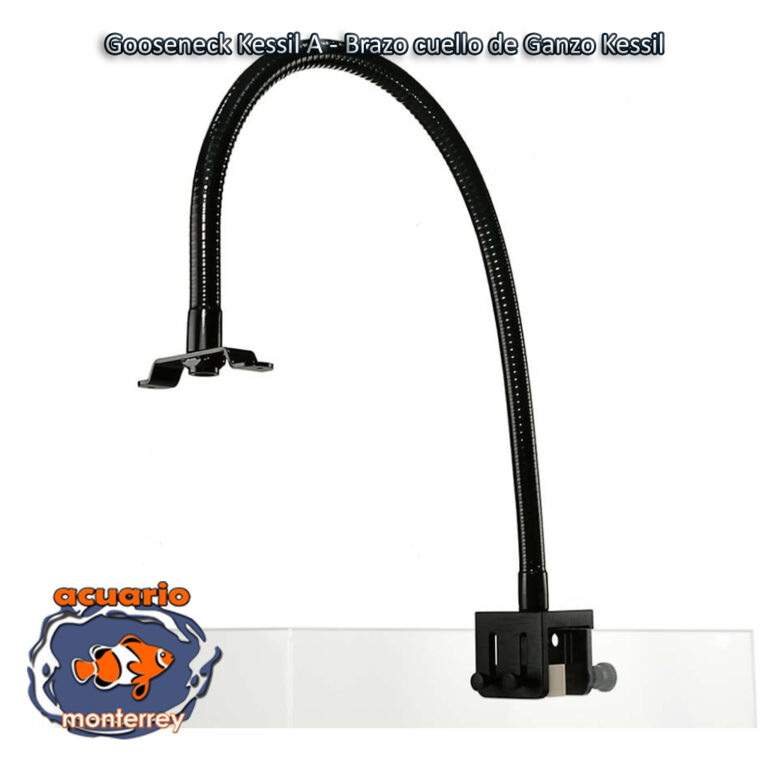 Gooseneck Kessil A - Brazo cuello de Ganzo Kessil