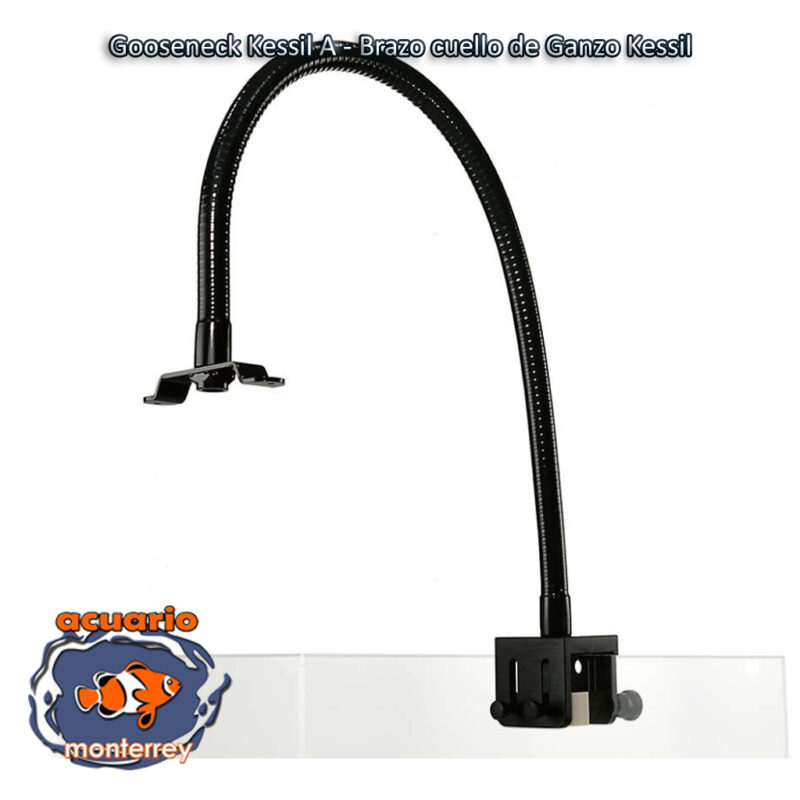 Gooseneck Kessil A - Brazo cuello de Ganzo Kessil