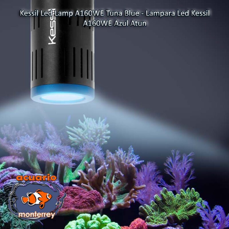 Kessil Led Lamp A160WE Tuna Blue - Lampara Led Kessil A160WE Azul Atun